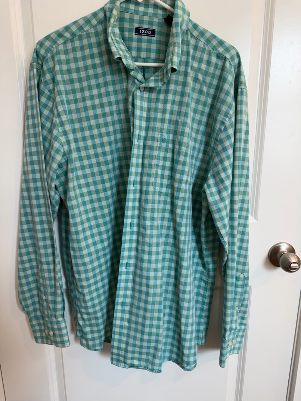 Izod Men's Mint and White Checked Button-Down Shirt